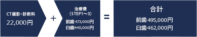 CT撮影・診断料 治療費（STEP1～3） 合計